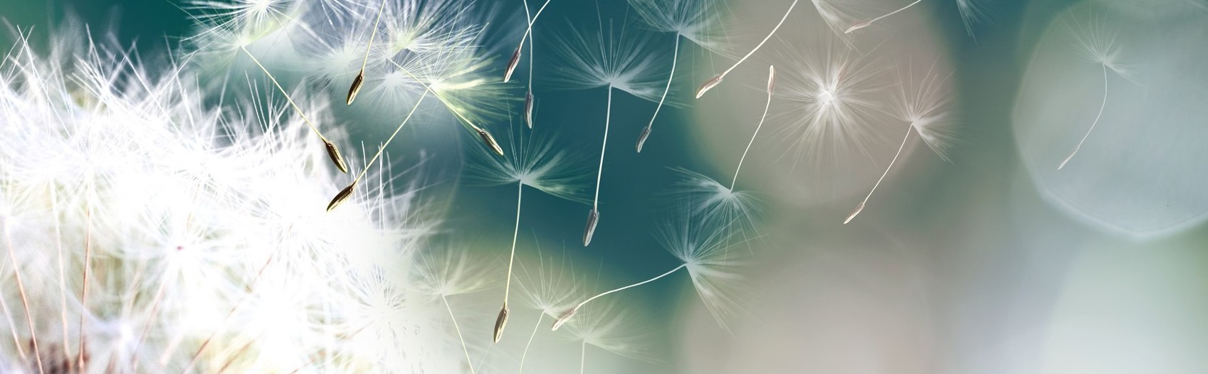 iStock-1055451018 betaald.jpg